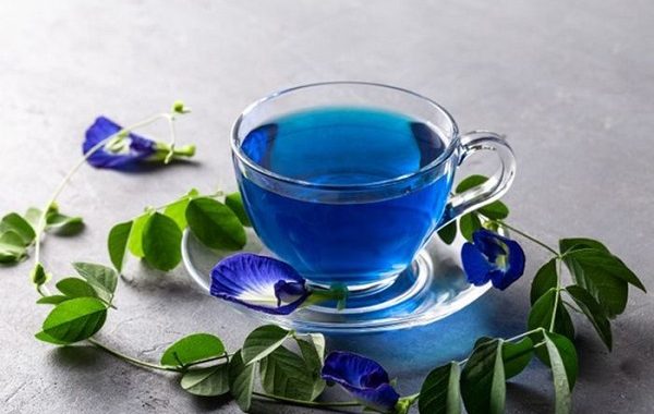 Uống trà hoa đậu biếc mỗi ngày có tốt không? Có công dụng gì?